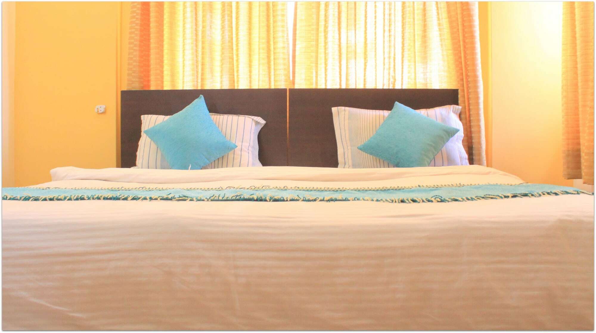 Bird Of Paradise- Gera Emerald Hotel Pune